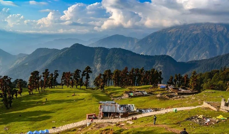 Chopta Meadow