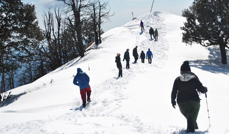 Nag Tibba Trek, Uttarakhand