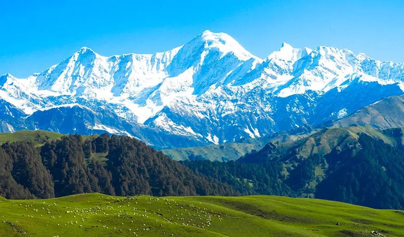 Dayara Bugyal Trek, Uttarakhand