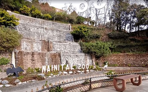 Nainital Zoo